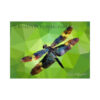 Fundalinski - Low Poly Dragonfly