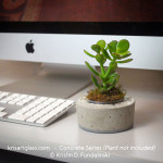 Concrete holder is perfect for your little desk plant